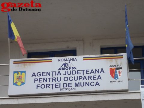 Local 999 De Locuri De Muncă In Județul Botoșani Gazeta De