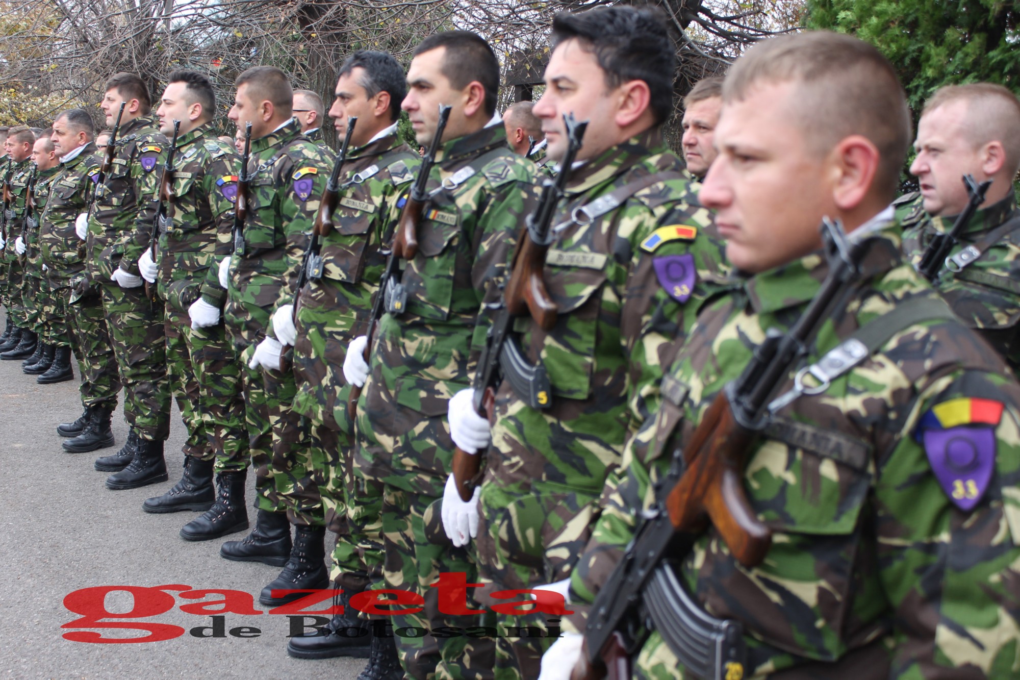 Local Ziua Armatei Romaniei Sărbătorită La Botosani Gazeta De